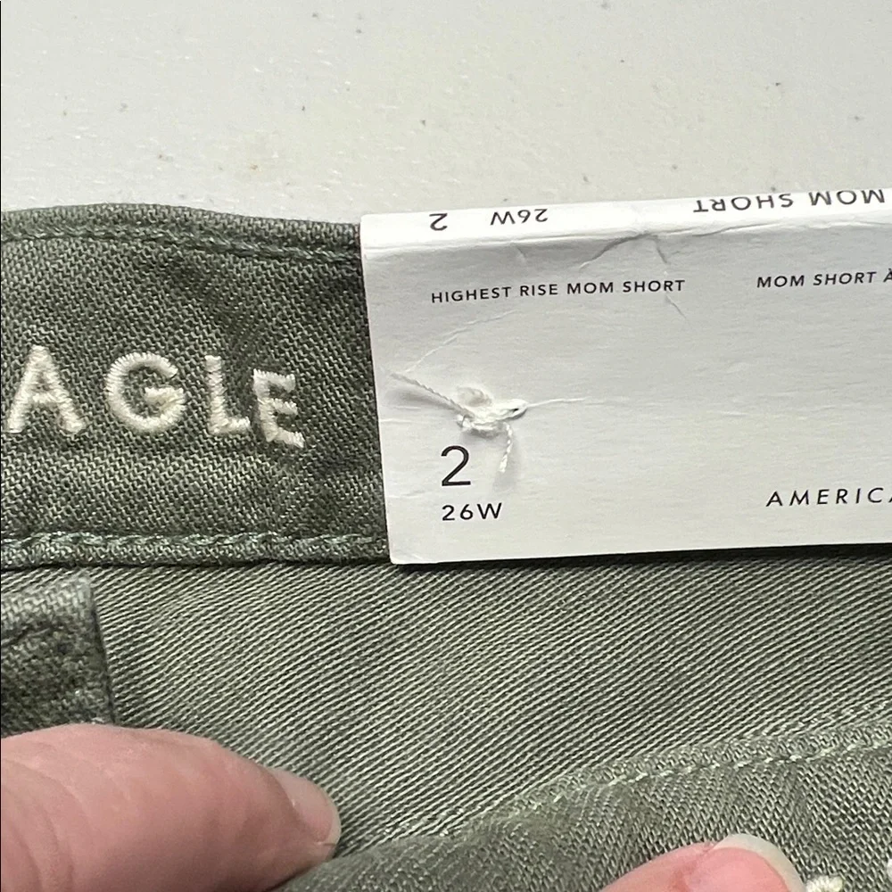 American Eagle Outfitters Green Distressed Jean Shorts
